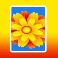 Gallery for Infinix Hot 7| Hot on 9Apps