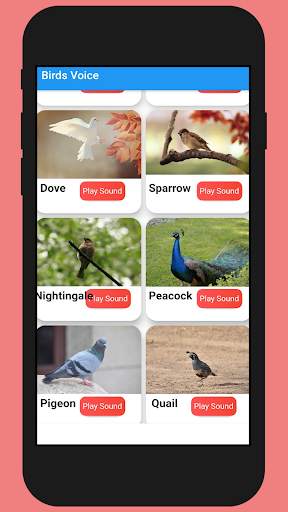 Birds Voice - sound of birds स्क्रीनशॉट 2