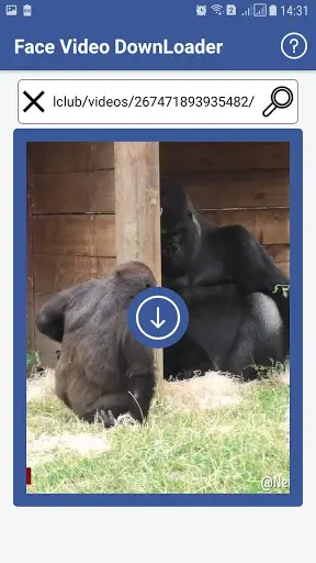 Face Insta Video Down screenshot 3