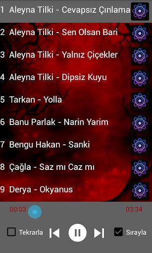 Turkish POP Music 75 songs OFFLİNE screenshot 2