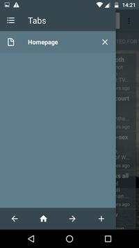 Reach Browser screenshot 2