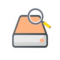 DiskVideo Recovery