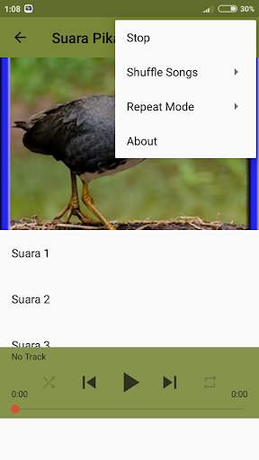 Pikatan Ruak Ruak Mp3 Terbaru Offline screenshot 4