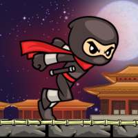 ninja raiden