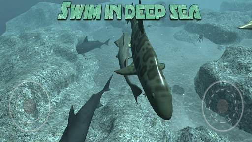 Real Shark Simulator 3D screenshot 2