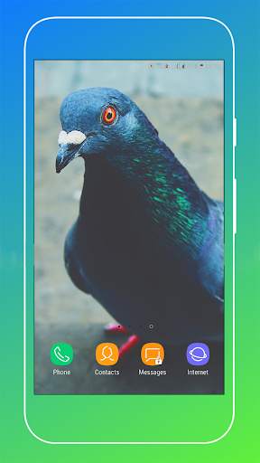 Pigeon Wallpaper screenshot 6