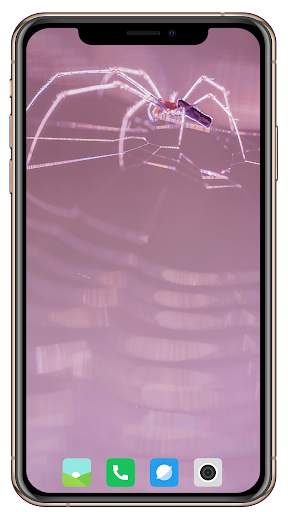 Spider Wallpaper screenshot 8