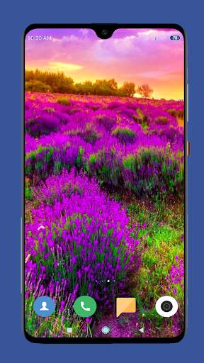 Beautiful Spring Wallpaper  4K screenshot 14