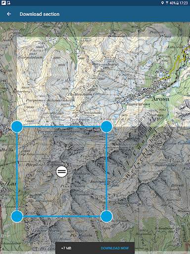 White Risk - SLF Avalanche App screenshot 16