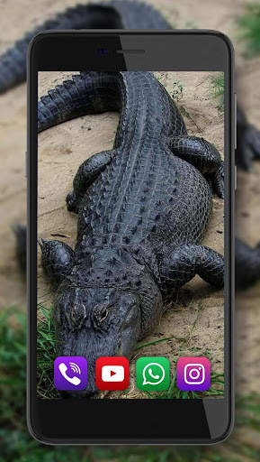 Crocodiles live wallpaper screenshot 6