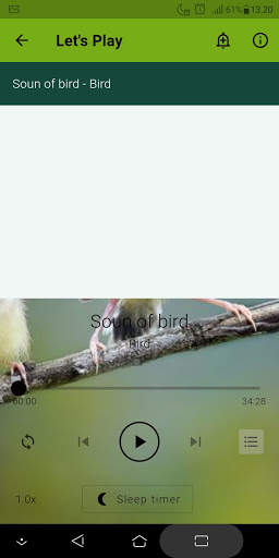 Bird sound screenshot 8