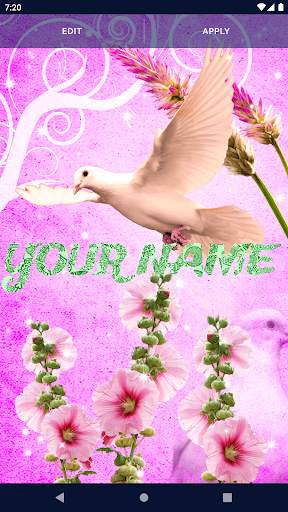 Dove Romantic Live Wallpaper screenshot 2