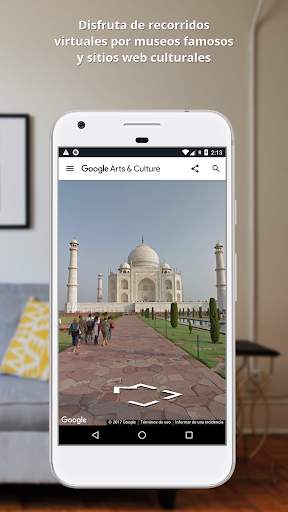 Google Arts & Culture screenshot 6