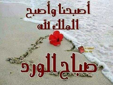 أجمل صور صباح ومساء الخير‎ screenshot 2