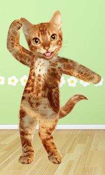 Dancing Cat screenshot 1