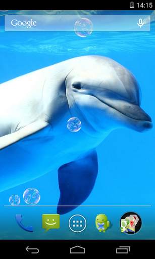 Dolphins Live Wallpaper screenshot 4