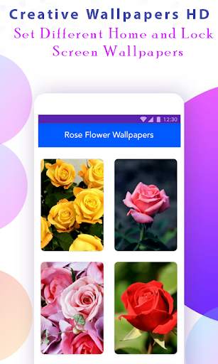 Rose Wallpapers HD screenshot 2