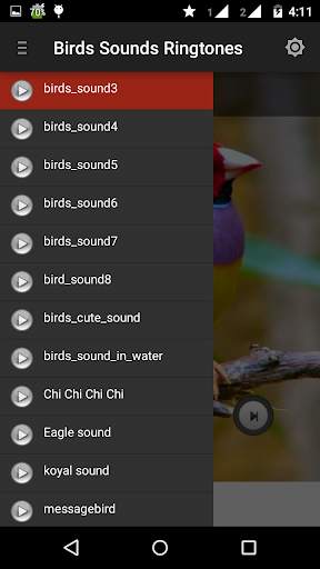 Birds sounds ringtones best screenshot 3
