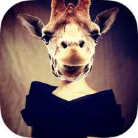 Beauty Face:animal face on 9Apps