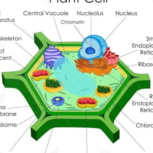 Biology Form One Notes icon