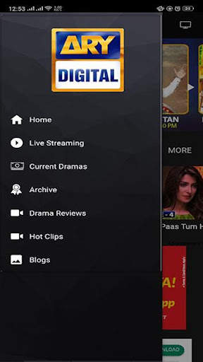 ARY DIGITAL screenshot 3