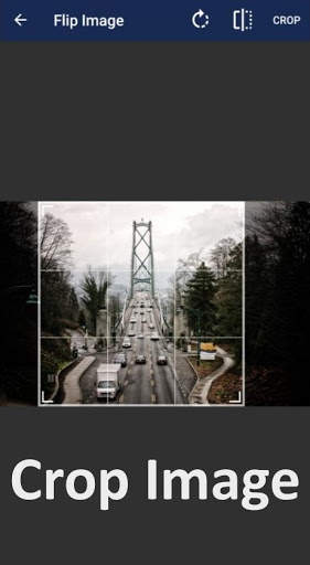 Flip Image (Crop   Mirror   Rotate) screenshot 5