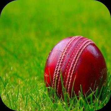 Cricket Wallpaper HD screenshot 1