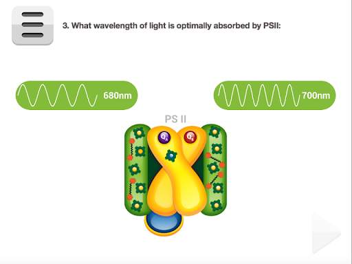 Biology Photosynthesis screenshot 12