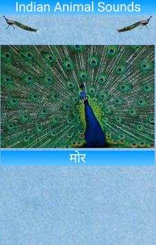 Indian Animal Sounds screenshot 4
