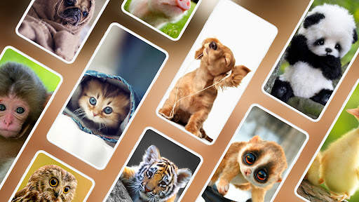 Cute Animal Wallpapers 4K screenshot 1