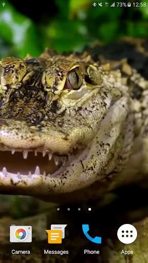 Crocodile Live Wallpaper screenshot 7