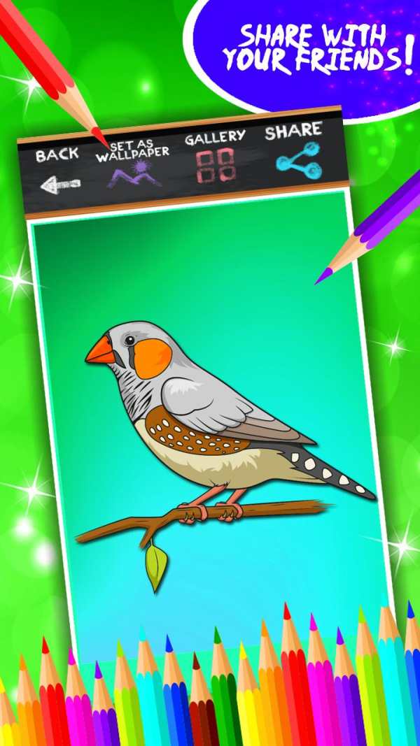 Birds Coloring Book screenshot 7