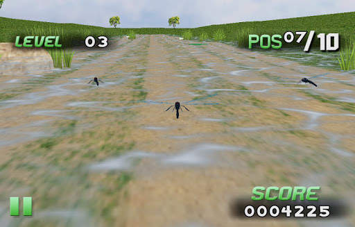 Insect Race screenshot 3
