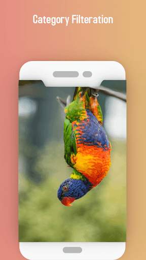Love bird Live wallpaper screenshot 7