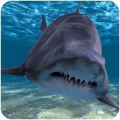 Shark Attack 1.0