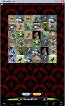 Birds Game स्क्रीनशॉट 2