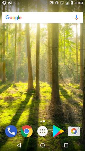 Forest Wallpapers - Tree Wallpaper screenshot 3