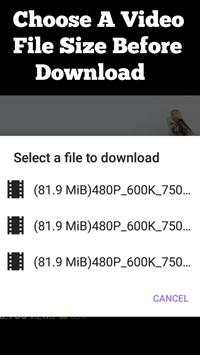 Flash: Browser and video downloader screenshot 2