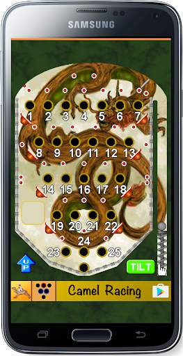 Bingo Pinball Dragon screenshot 1