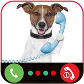 Call From Dog Tom 1.0