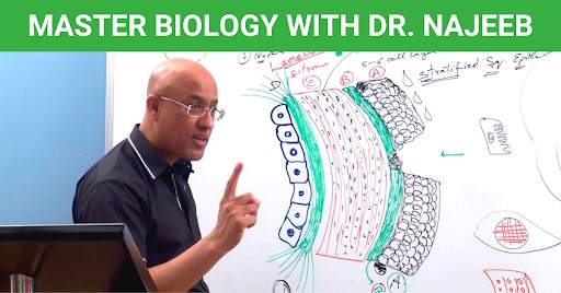 Dr. Najeeb Lectures Biology screenshot 1