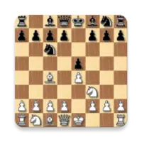 Basic chess endgames