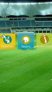 best cricket world cup 2015 screenshot 2