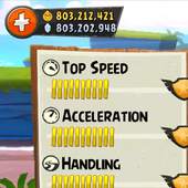 Coins For Angry Birds Go ! 1.1