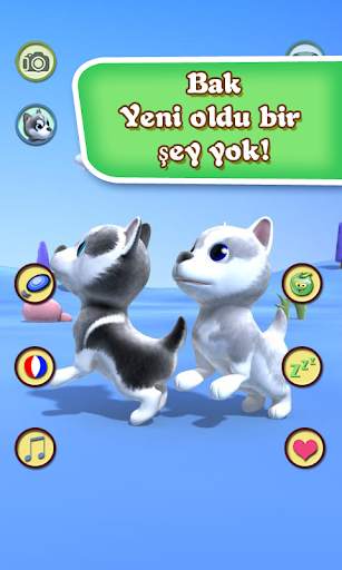 Talking Husky screenshot 5
