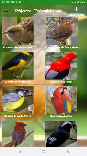 Aves Colombianas screenshot 2