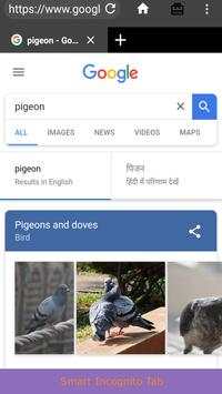 Pidgeot Web Browser - Featured and Fast screenshot 9