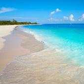 Beach Wallpaper 2020 1.8