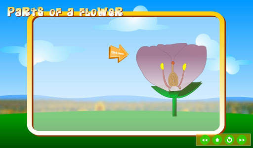 Reproduction in Plants скриншот 4