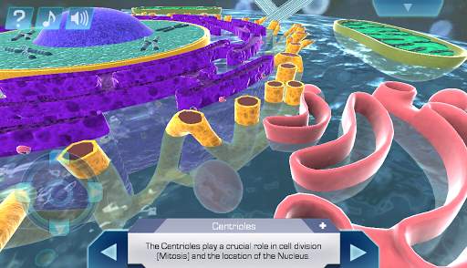 Cell World screenshot 3
